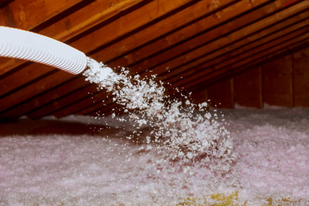 Best Insulation Removal  in Del Norte, CO