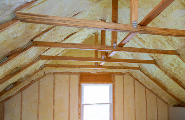 Best Local Insulation Services  in Del Norte, CO