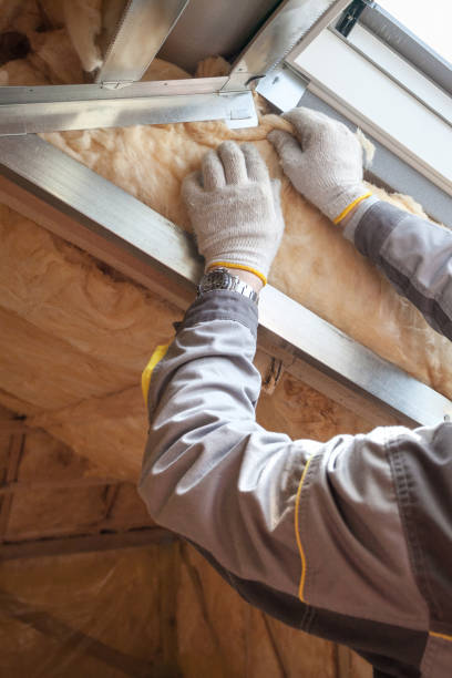 Best Insulation Inspection Services  in Del Norte, CO