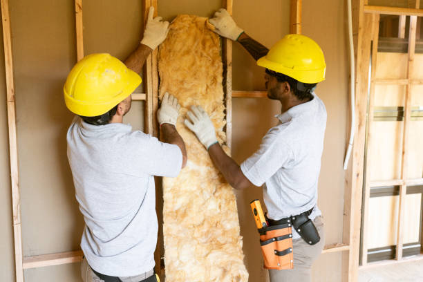 Best Cellulose Insulation  in Del Norte, CO