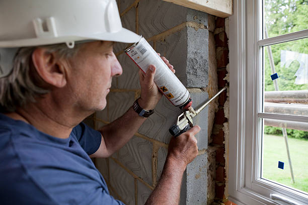 Best Insulation Replacement Services  in Del Norte, CO