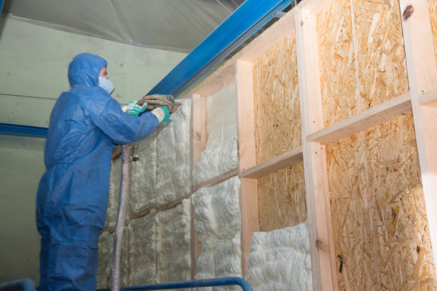 Best Spray Foam Insulation  in Del Norte, CO